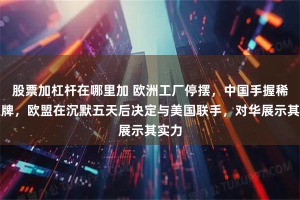 股票加杠杆在哪里加 欧洲工厂停摆，中国手握稀土王牌，欧盟在沉默五天后决定与美国联手，对华展示其实力