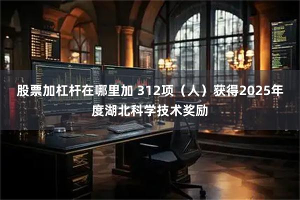 股票加杠杆在哪里加 312项（人）获得2025年度湖北科学技术奖励