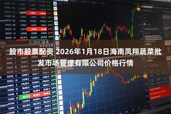 股市股票配资 2026年1月18日海南凤翔蔬菜批发市场管理有限公司价格行情