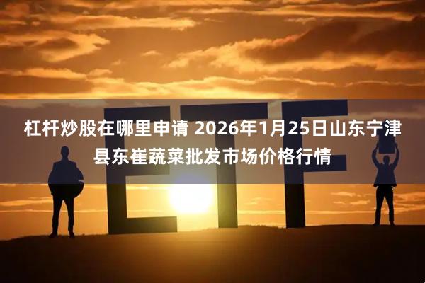 杠杆炒股在哪里申请 2026年1月25日山东宁津县东崔蔬菜批发市场价格行情